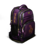 Kolkata Knight Riders Bag by Brune