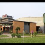 Zara Partners with John Galliano to Reimagine Its Archives